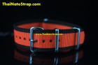 NN-0066 (หมด) NN-0066 (หมด)