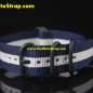 ZN-0012 ZN-0012