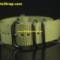 ZN-0031 ZN-0031