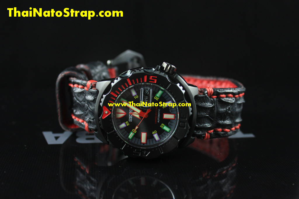 ZAMBA_MONSTER_0002